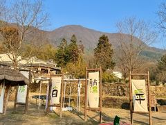 -塔川景区