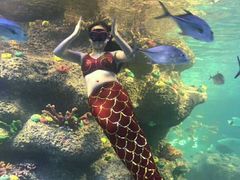 -沙沙哗啦海洋馆(华宇百花谷店)