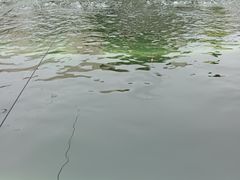 -DGE季风钓虾营地·团建·聚会