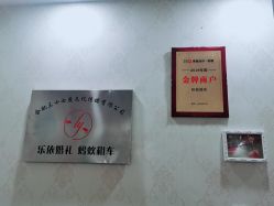 -蚂蚁婚车