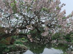 -西山风景区