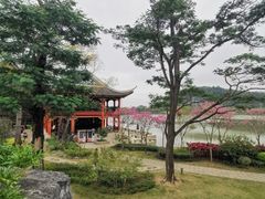 -顺峰山公园