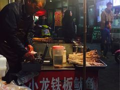 -荷兰花海