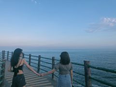 -广东惠东海龟国家级自然保护区