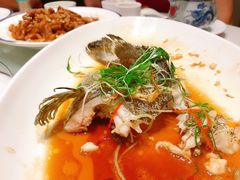 -顺丰轩园林酒家(天河店)