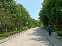 -东台西溪天仙缘景区