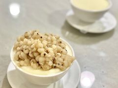 薏米双皮奶-老周记顺德双皮奶