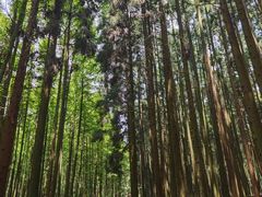 -山王坪喀斯特国家生态公园