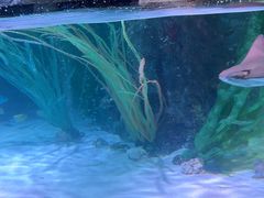 -沈阳海洋探索中心