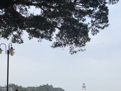 -爱情邮局