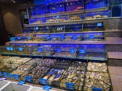 -青蓬蒸汽海鲜·深圳老字号·团建聚会(壹方城店)