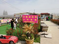 -小鱼草莓采摘园农家乐·小鱼餐厅