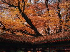 -颐和园