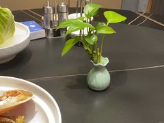 -鲐赏河豚(长寿店)