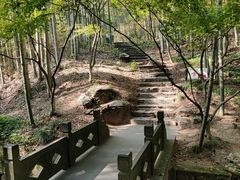 -宝荣鱼馆·临湖之宴(千岛湖店)