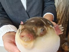 -永安鱼庄·镇江菜(东吴路店)