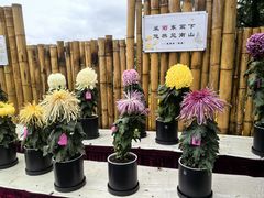 -上海大学(宝山校区)