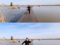 -盐城丹顶鹤湿地生态旅游区