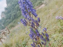 -野三坡百草畔景区