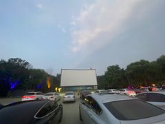 -枫花园汽车电影院(朝阳公园店)