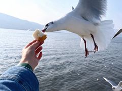 -海埂大坝