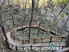 -大岭沟猕猴桃谷风景区