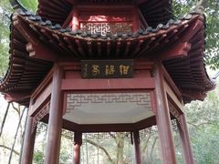 -杭州黄龙洞