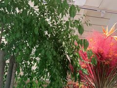 -春暖花开(西溪店)