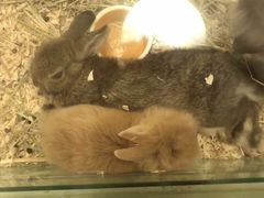 -龙猫仔乐园(惠福东路店)