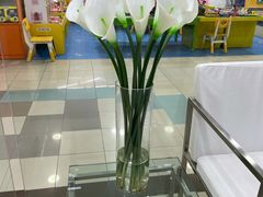 -福奈特洗衣·洗鞋·奢侈品护理(真北店)