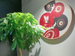 -黑松白鹿(金融街店)