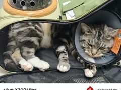-宠颐生宠物医院·异宠猫科内科·诊疗中心宠巢店