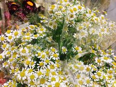 -AEON永旺(东方宝泰店)