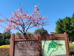 -狐尾山公园