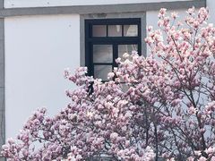 -烟台山景区