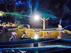 -清迈夜间动物园