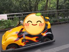 -杭州少年儿童公园