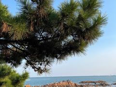 -青岛第二海水浴场