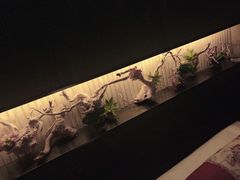 -大桶大足浴(广灵店)