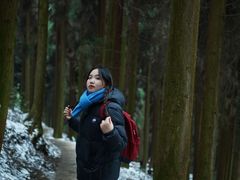 -钟鼎寺