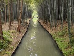 -同里国家湿地公园