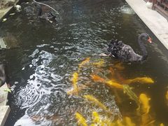 -湖鲜楼