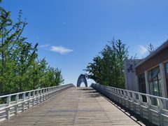 -大兴滨河森林公园