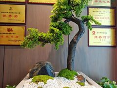 -涿掌柜·涿州宴