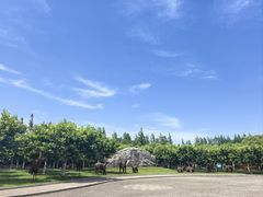 -上海海湾国家森林公园