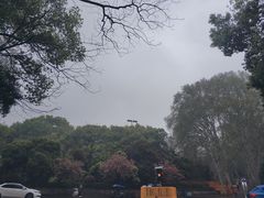 -武汉大学-樱园