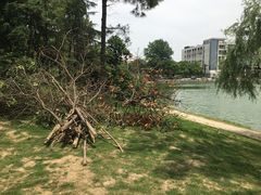 -美兰湖景区