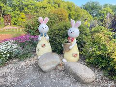 -上海共青森林公园