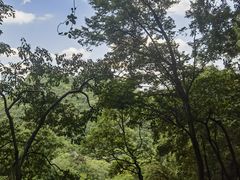 -黔灵山公园