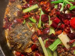 -老板恋上鱼(印象城店)